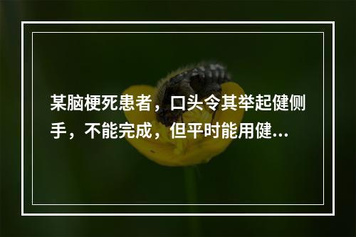 某脑梗死患者，口头令其举起健侧手，不能完成，但平时能用健手