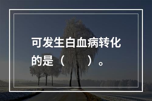 可发生白血病转化的是（　　）。