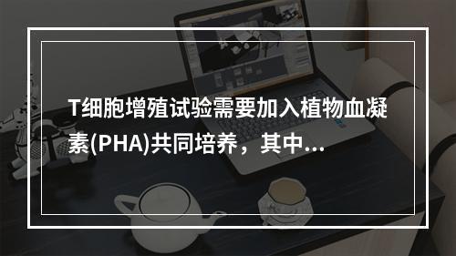 T细胞增殖试验需要加入植物血凝素(PHA)共同培养，其中PH