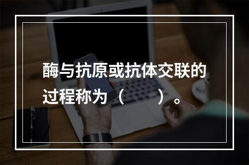 酶与抗原或抗体交联的过程称为（　　）。