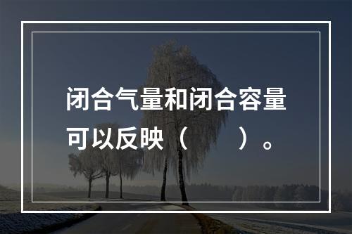 闭合气量和闭合容量可以反映（　　）。