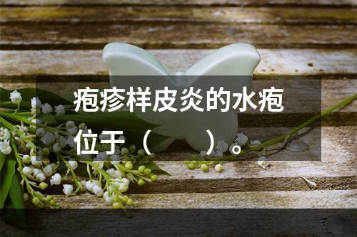 疱疹样皮炎的水疱位于（　　）。