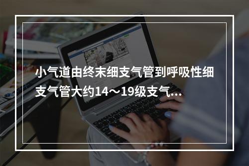 小气道由终末细支气管到呼吸性细支气管大约14～19级支气管