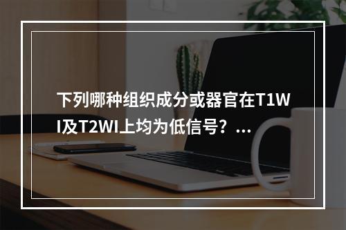 下列哪种组织成分或器官在T1WI及T2WI上均为低信号？（