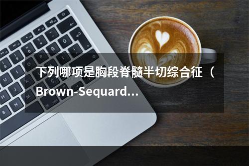 下列哪项是胸段脊髓半切综合征（Brown-Sequard）