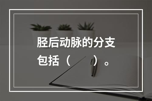 胫后动脉的分支包括（　　）。