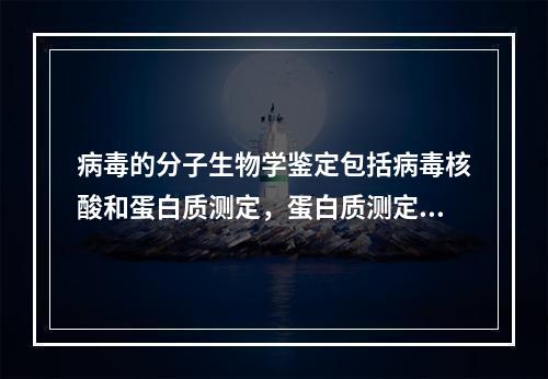 病毒的分子生物学鉴定包括病毒核酸和蛋白质测定，蛋白质测定可使