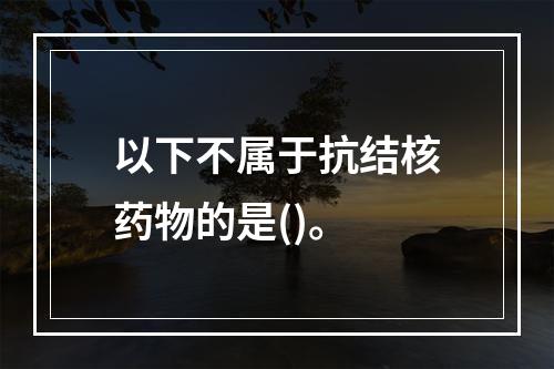 以下不属于抗结核药物的是()。