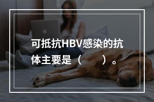 可抵抗HBV感染的抗体主要是（　　）。