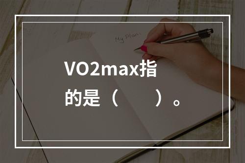 VO2max指的是（　　）。