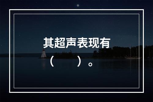 其超声表现有（　　）。