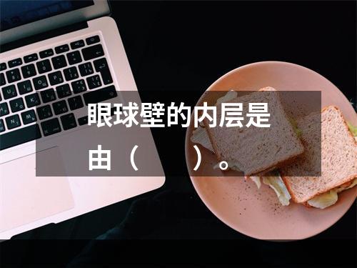 眼球壁的内层是由（　　）。