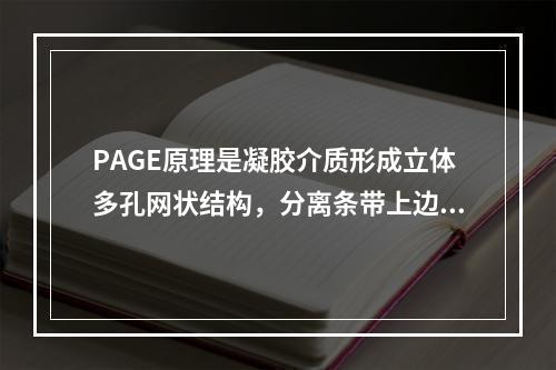 PAGE原理是凝胶介质形成立体多孔网状结构，分离条带上边是(