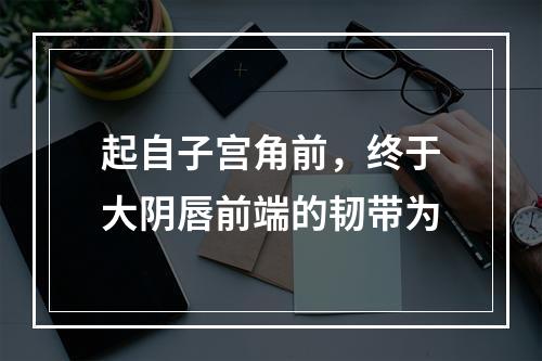 起自子宫角前，终于大阴唇前端的韧带为