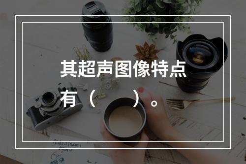 其超声图像特点有（　　）。