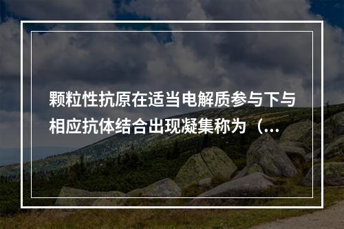 颗粒性抗原在适当电解质参与下与相应抗体结合出现凝集称为（　