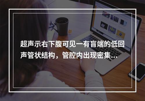 超声示右下腹可见一有盲端的低回声管状结构，管腔内出现密集点状