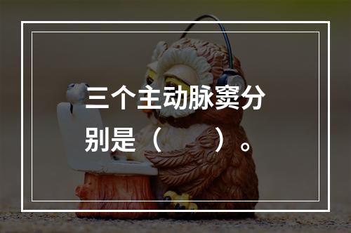 三个主动脉窦分别是（　　）。