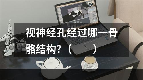 视神经孔经过哪一骨骼结构?（　　）