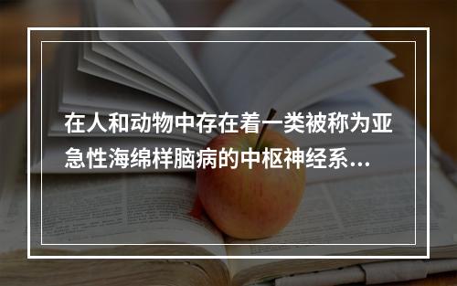 在人和动物中存在着一类被称为亚急性海绵样脑病的中枢神经系统