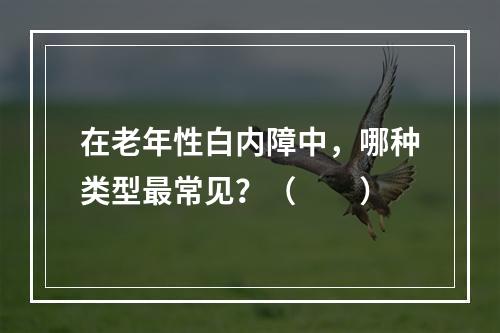 在老年性白内障中，哪种类型最常见？（　　）