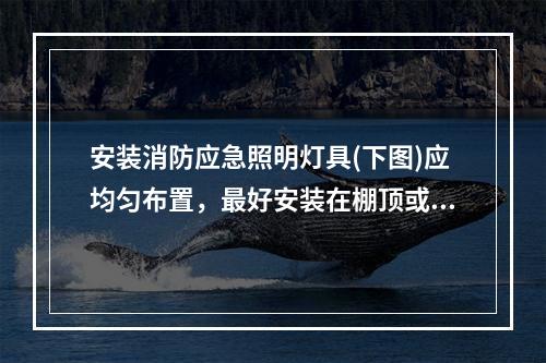 安装消防应急照明灯具(下图)应均匀布置，最好安装在棚顶或距楼