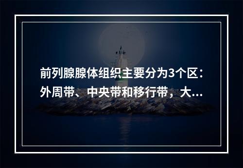 前列腺腺体组织主要分为3个区：外周带、中央带和移行带，大多