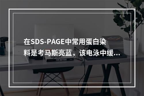 在SDS-PAGE中常用蛋白染料是考马斯亮蓝，该电泳中缓冲液