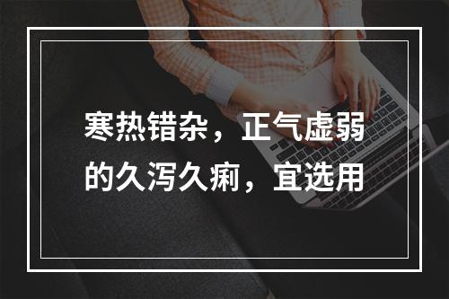 寒热错杂，正气虚弱的久泻久痢，宜选用