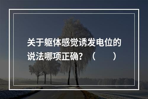 关于躯体感觉诱发电位的说法哪项正确？（　　）