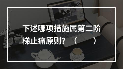 下述哪项措施属第二阶梯止痛原则？（　　）