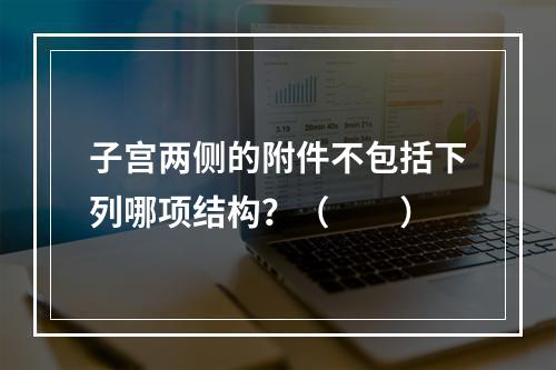 子宫两侧的附件不包括下列哪项结构？（　　）