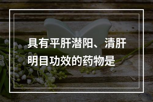 具有平肝潜阳、清肝明目功效的药物是