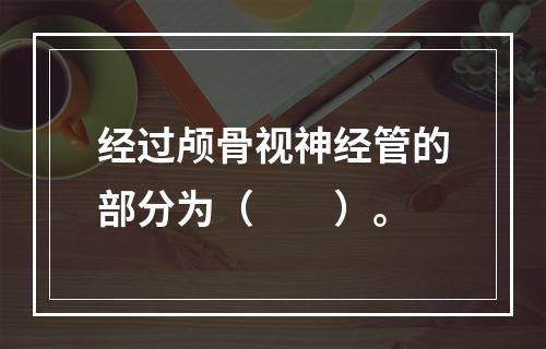 经过颅骨视神经管的部分为（　　）。