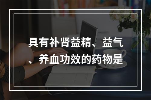 具有补肾益精、益气、养血功效的药物是