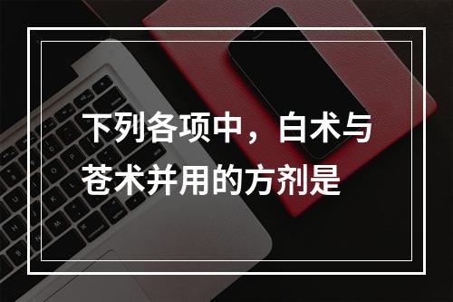 下列各项中，白术与苍术并用的方剂是