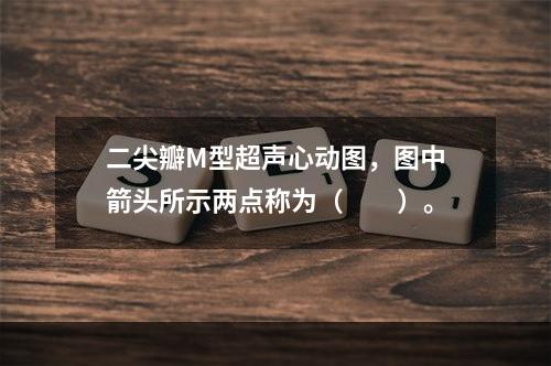 二尖瓣M型超声心动图，图中箭头所示两点称为（　　）。