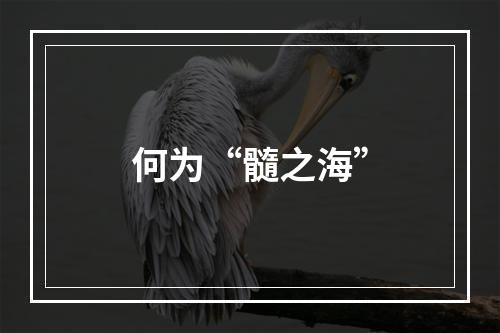 何为“髓之海”