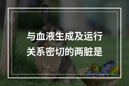 与血液生成及运行关系密切的两脏是