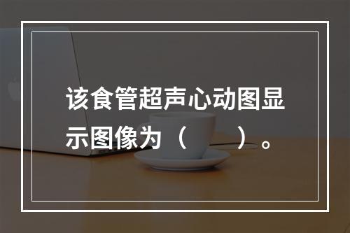 该食管超声心动图显示图像为（　　）。