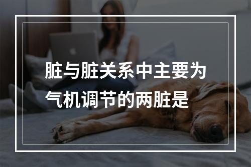 脏与脏关系中主要为气机调节的两脏是