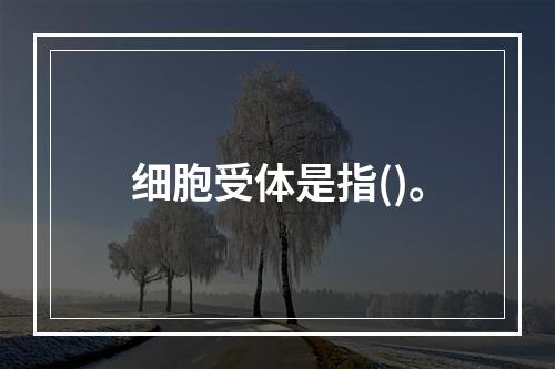 细胞受体是指()。