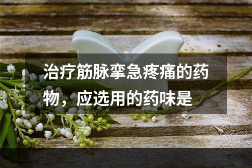 治疗筋脉挛急疼痛的药物，应选用的药味是