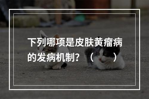 下列哪项是皮肤黄瘤病的发病机制？（　　）