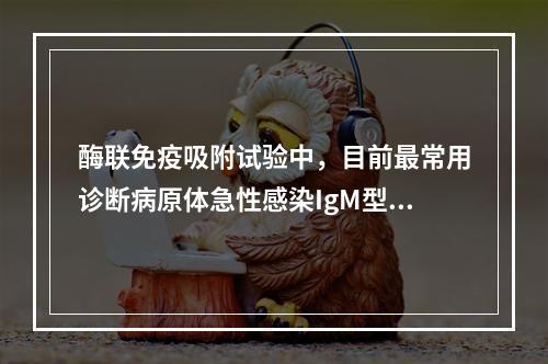 酶联免疫吸附试验中，目前最常用诊断病原体急性感染IgM型抗体