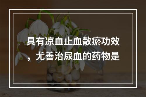 具有凉血止血散瘀功效，尤善治尿血的药物是