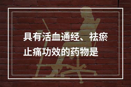 具有活血通经、祛瘀止痛功效的药物是