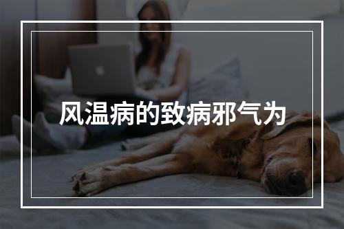 风温病的致病邪气为