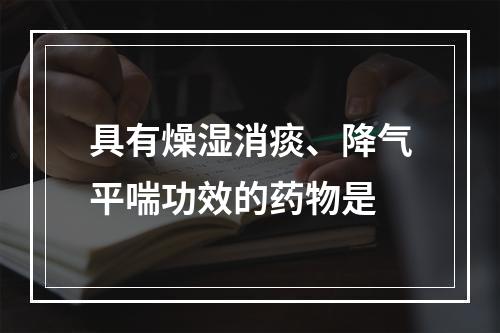 具有燥湿消痰、降气平喘功效的药物是