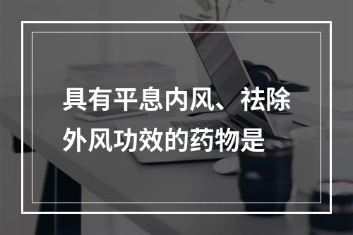 具有平息内风、祛除外风功效的药物是